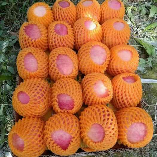 阿克苏冰糖心红富士苹果