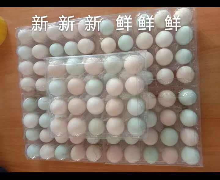 乡村土鸡蛋