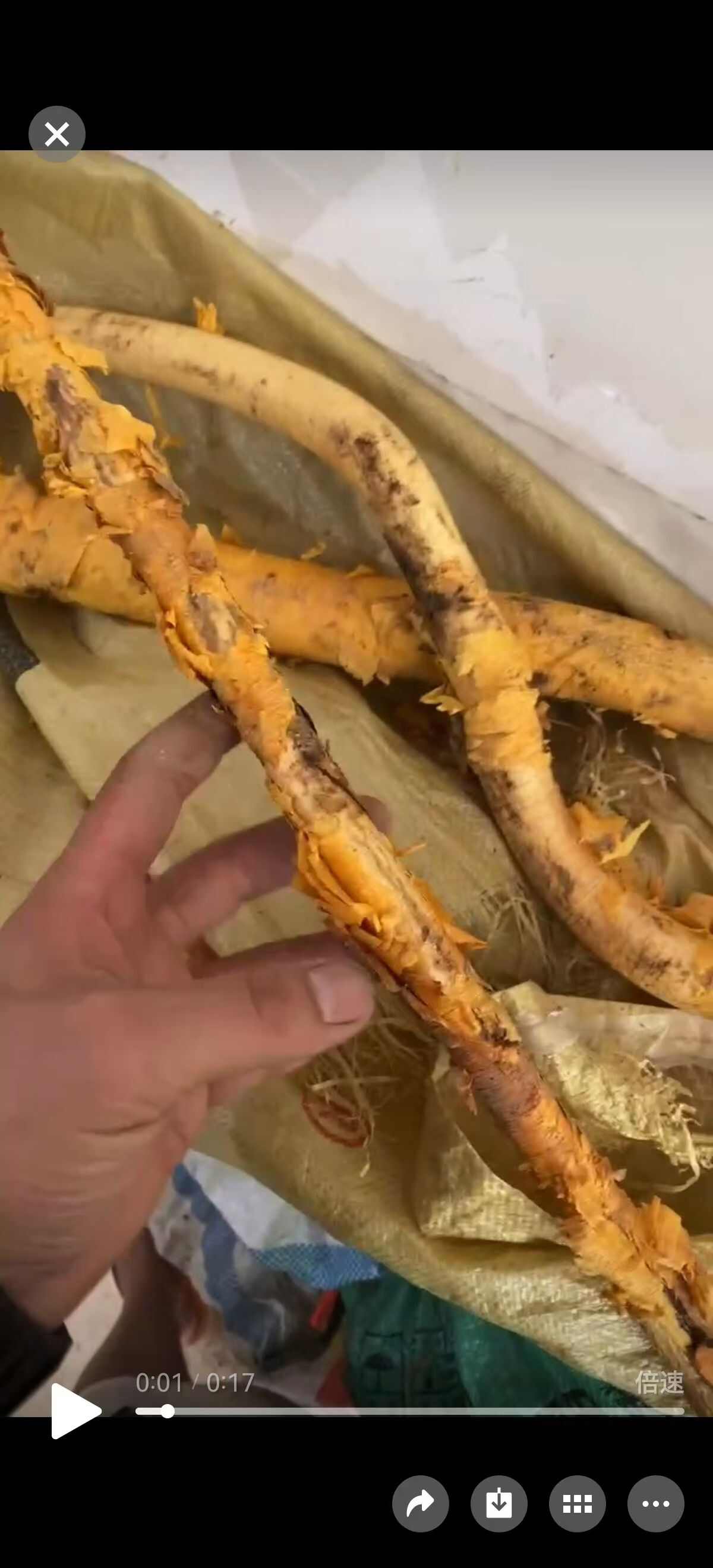 福建，穿破石