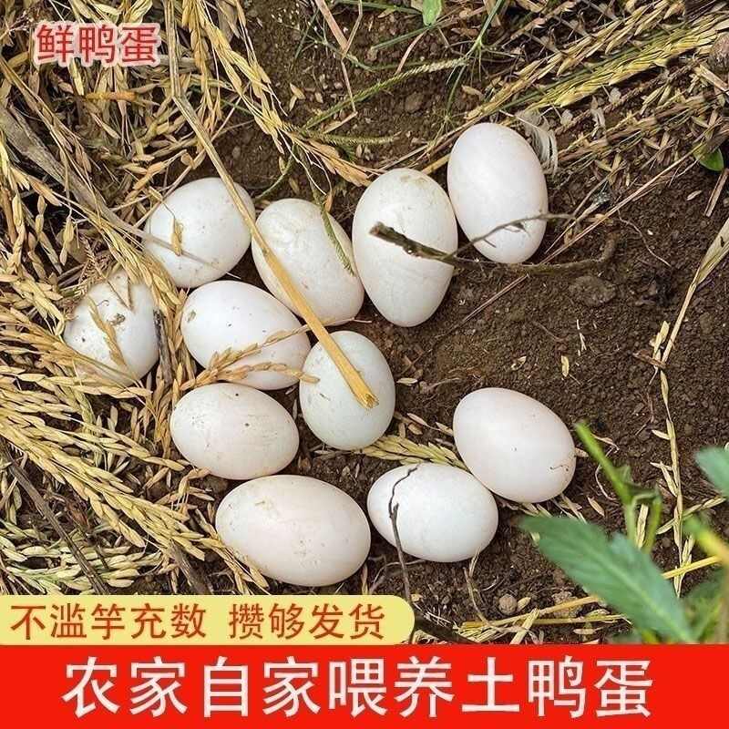 土鸭蛋  一件代发150克大蛋价  初生蛋便宜 电话沟通为主