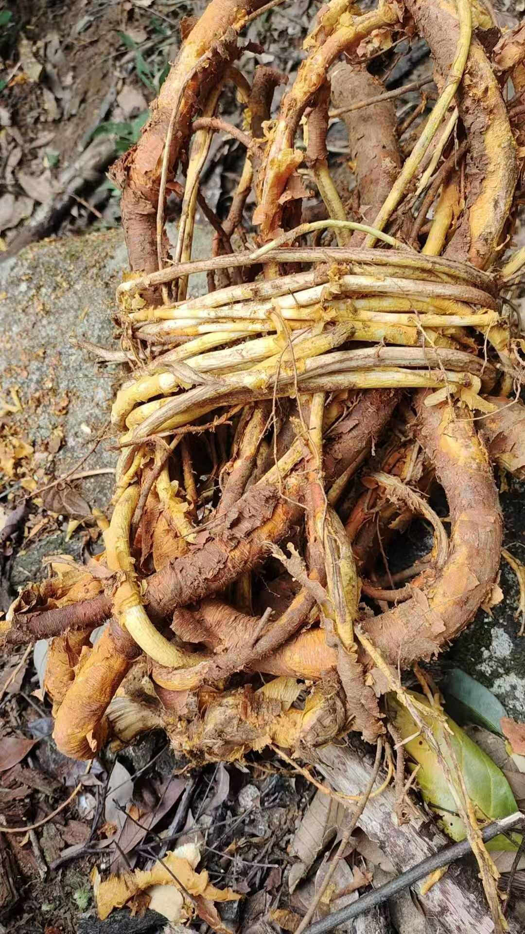 福建，穿破石，