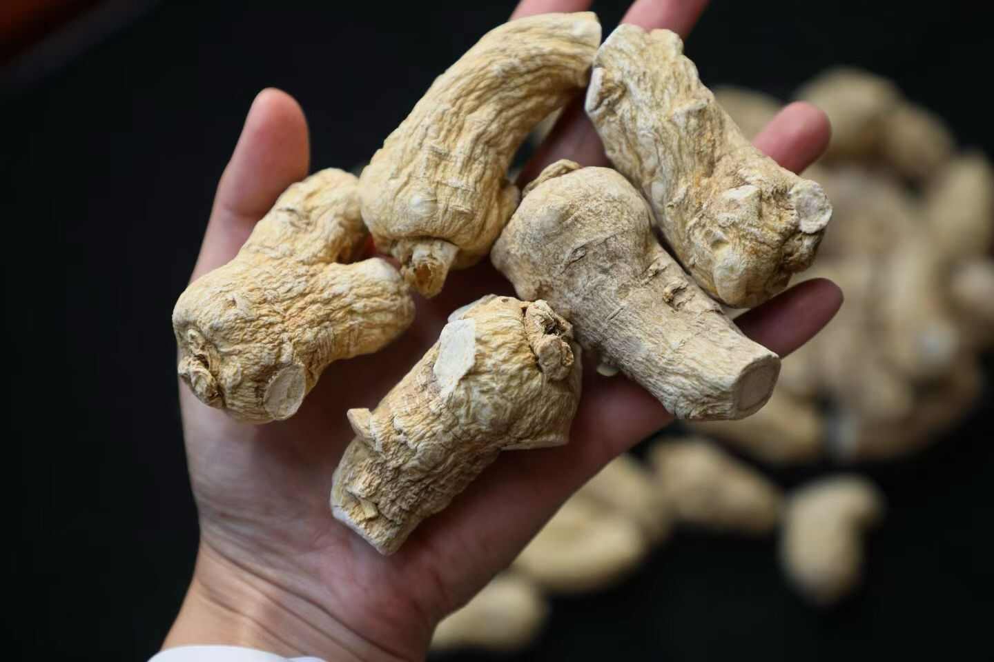 长白山老西洋参软质粒头参.15个左右一斤