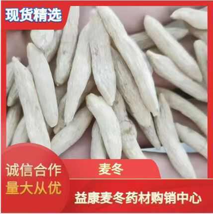 曹县产地精选麦冬中药材 品质保障 干货，鲜货，一手货源