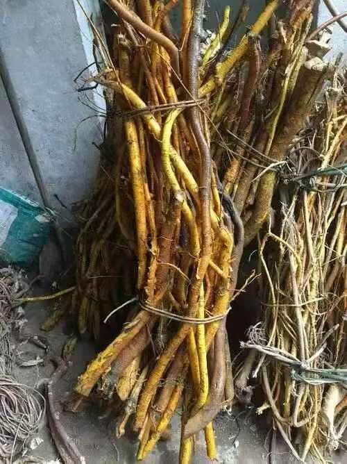 福建，穿破石，