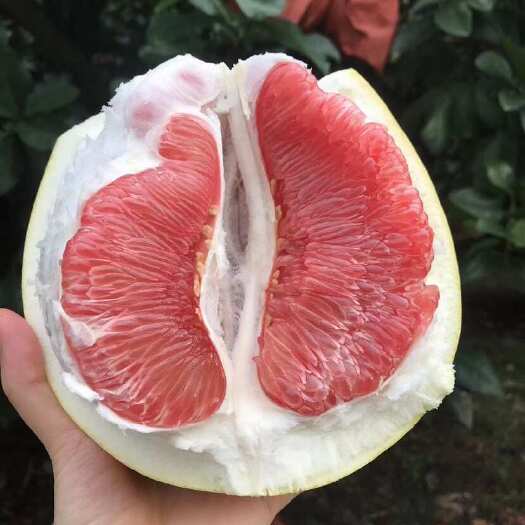 平和县自产自销红柚