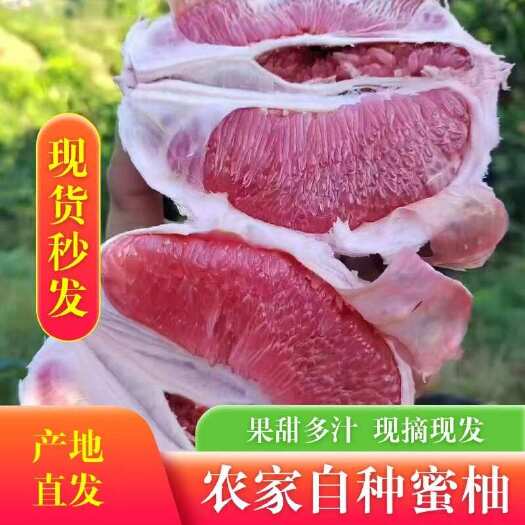 容县广西玉林红心蜜柚，应季水果酸甜薄皮红心柚