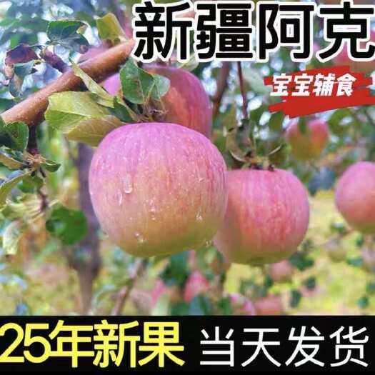 新疆阿克苏冰糖心苹果水果新鲜脆甜红富士10/5/丑苹果
