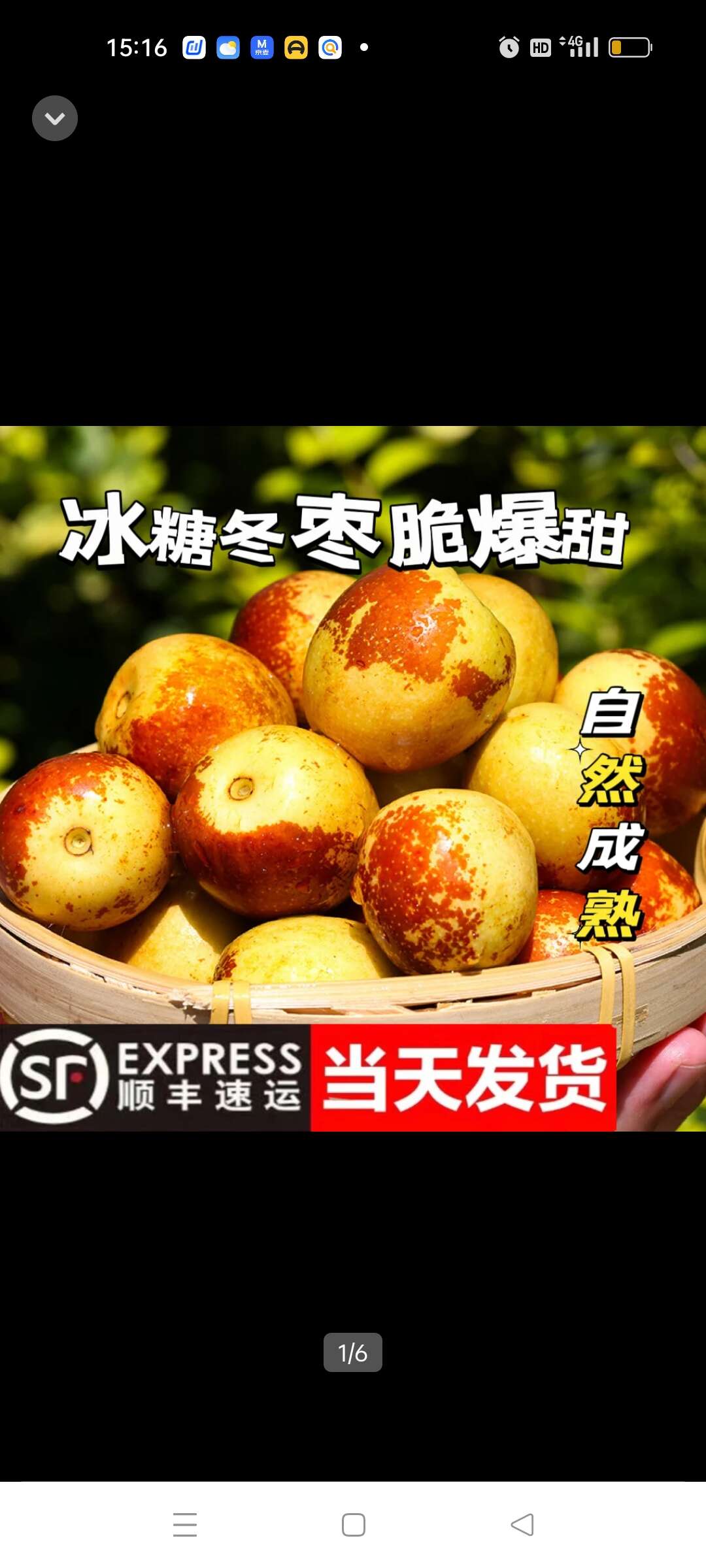 正宗黄骅冬枣原产地直发