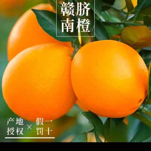 赣州赣南脐橙原产地果园直发