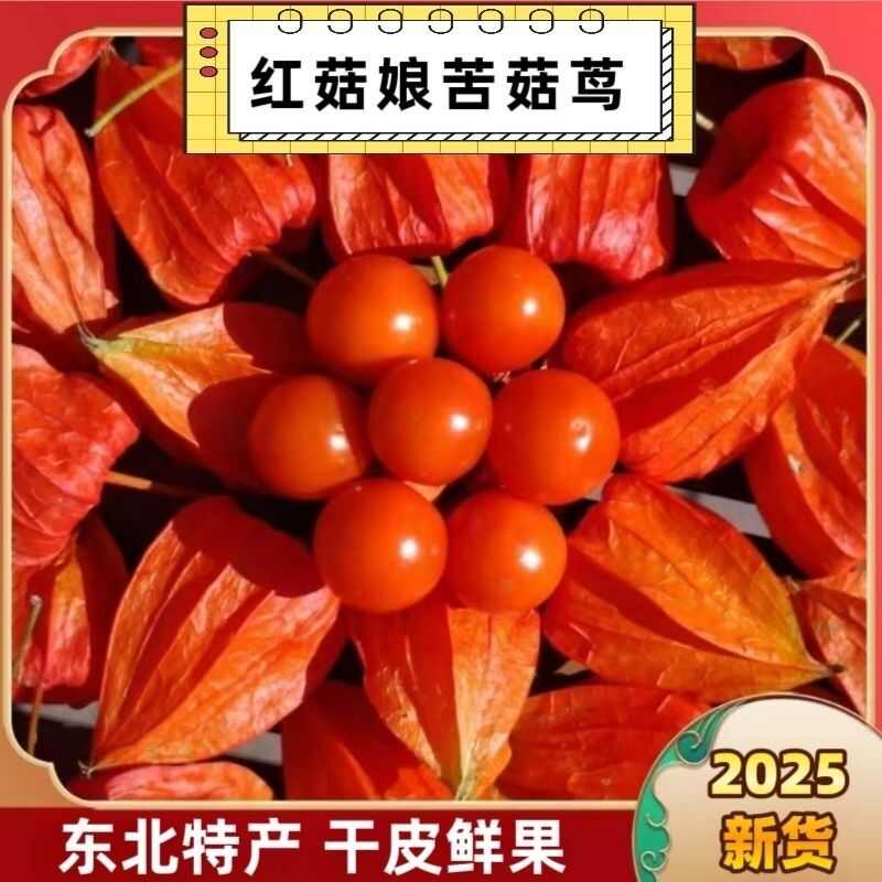 东北特产姑娘果，优质现货，产地基地直发，酸甜健康