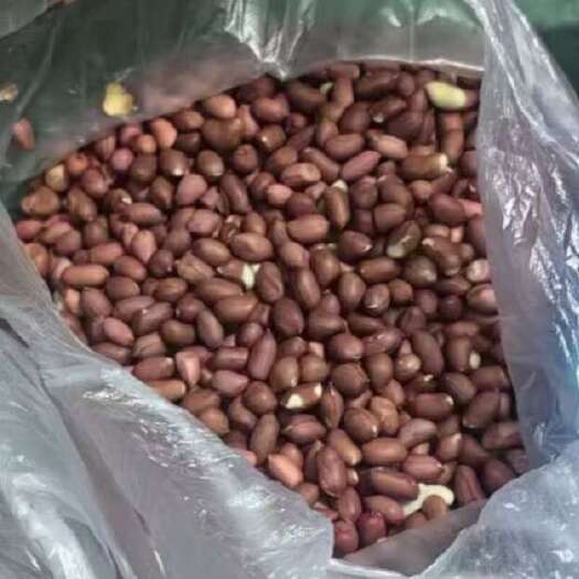 前郭县四粒红花生米，寺庙自己种植。没有农药化肥除草剂。