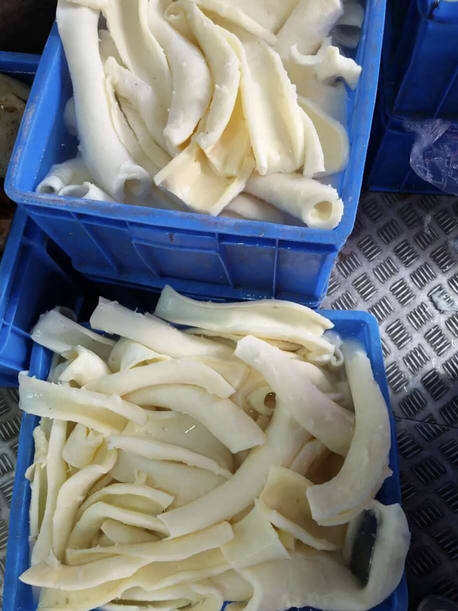 牛副产品 精品牛黄喉 主动脉血管壁 爽脆弹牙 火锅食材伴侣