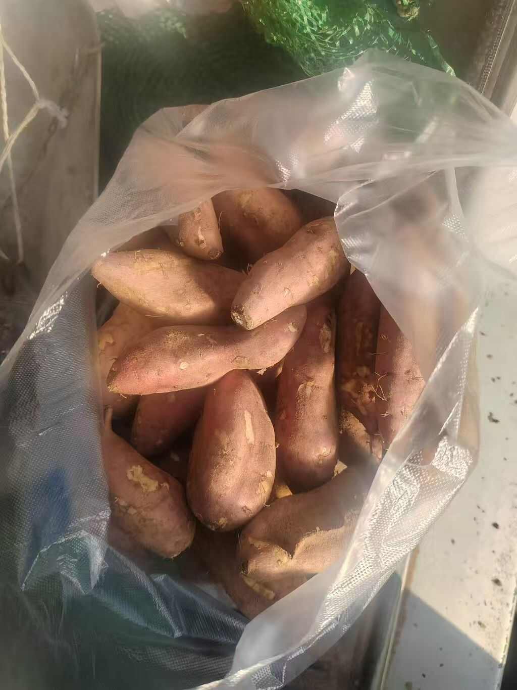 哈密，内蒙古鄂尔多斯沙地