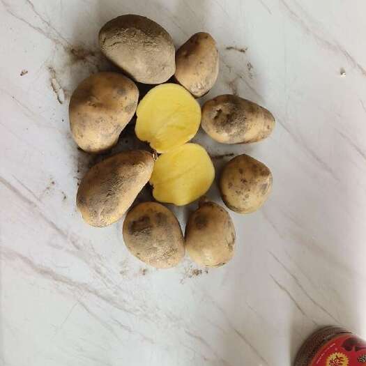 A8土豆  皮薄个大、黄皮、黄心、口感好。