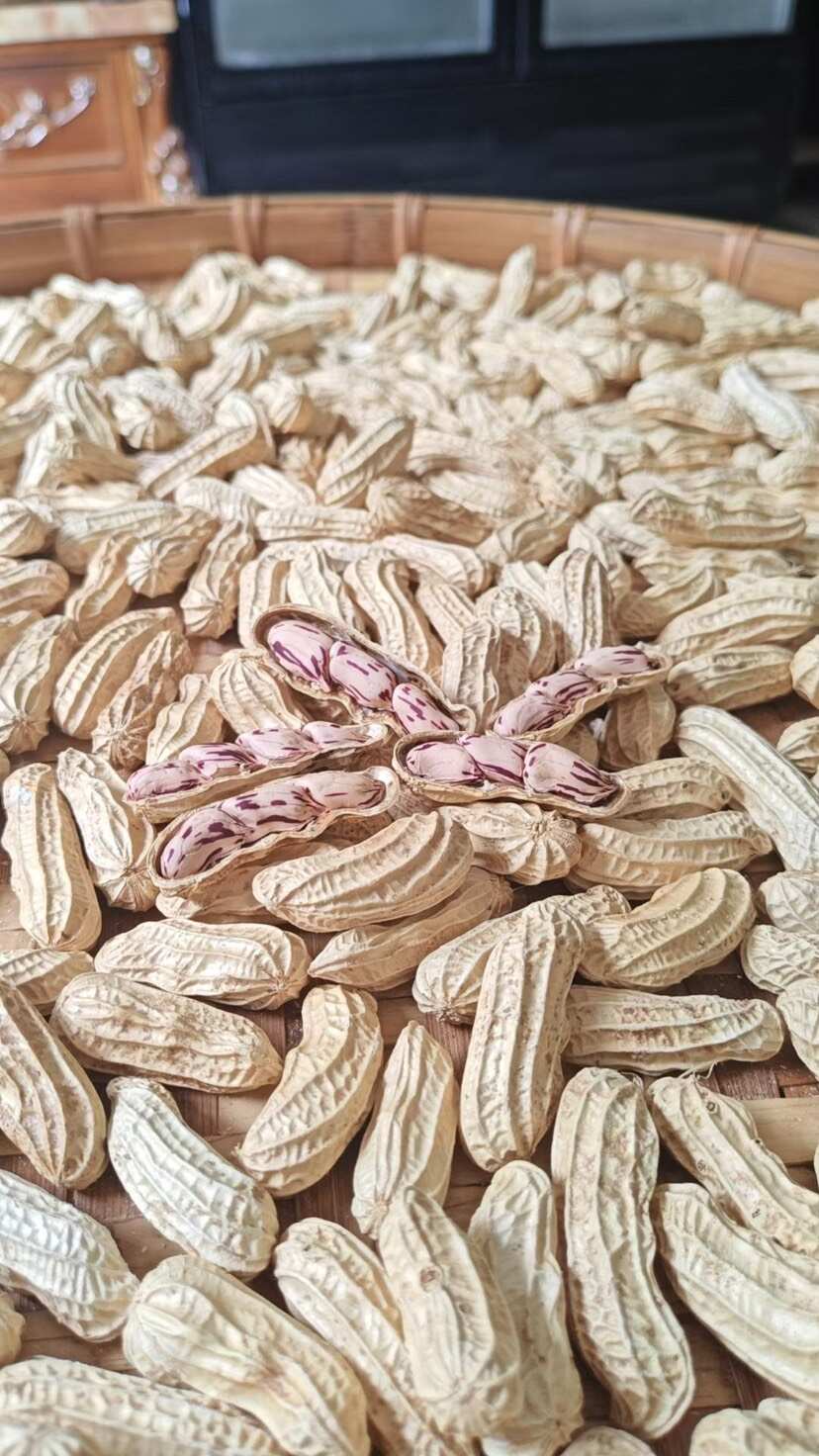 云南七彩花生，黑皮花生，黑美仁富硒花生