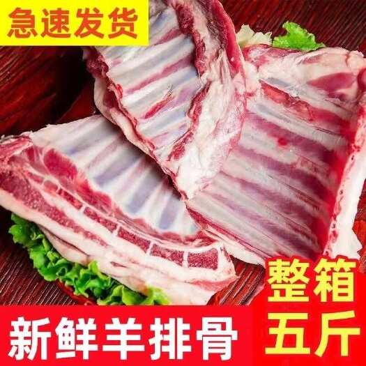 济南【精选羊排】羊排骨羊肋排羊排尖羊小排羊角排批发冷链包邮送料包