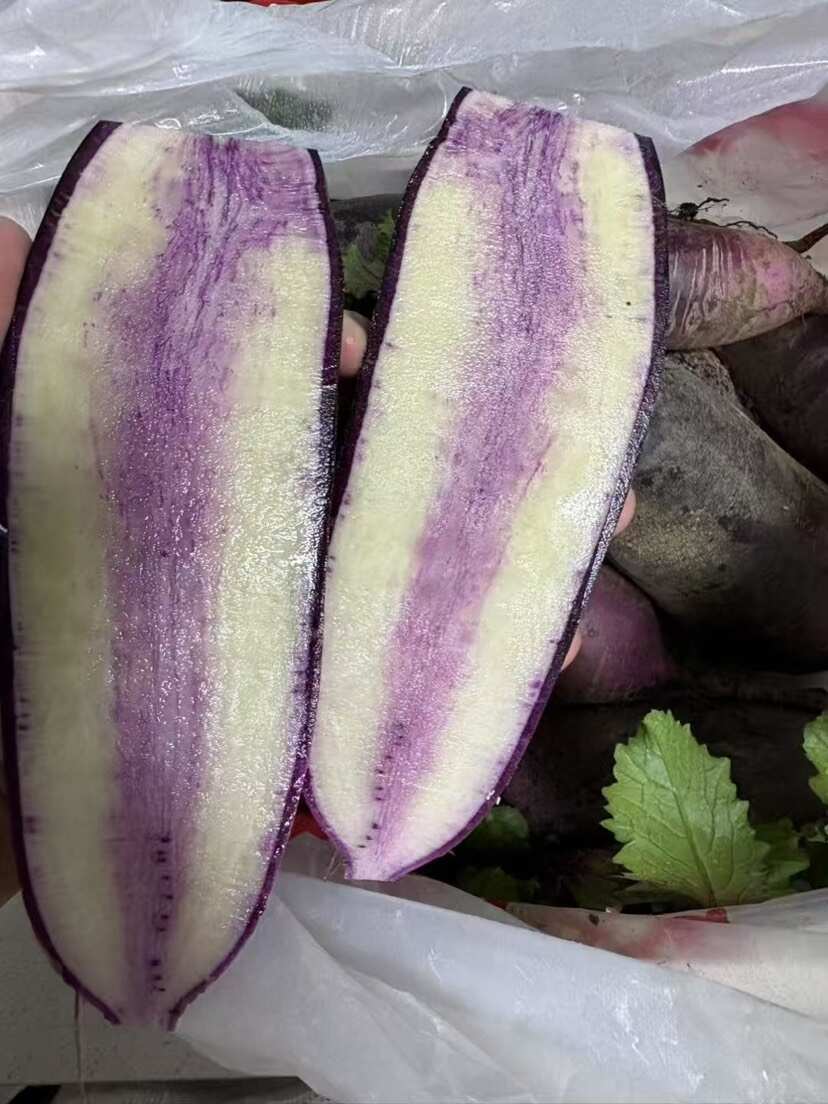 紫萝卜 水果萝卜 清脆可口