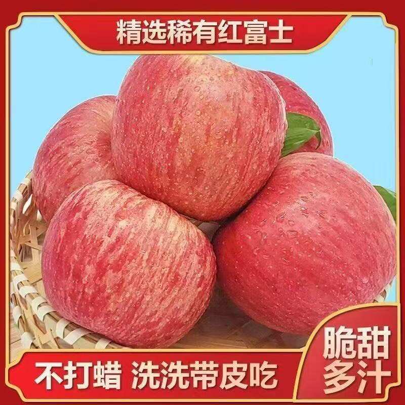 2025新果烟台红富士