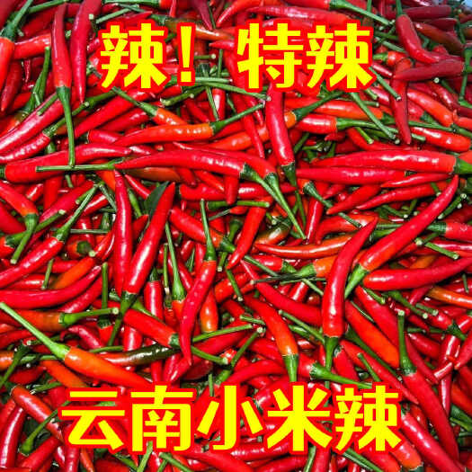 辣椒小米辣云南产地直供一件代发市场批发社区团购供货