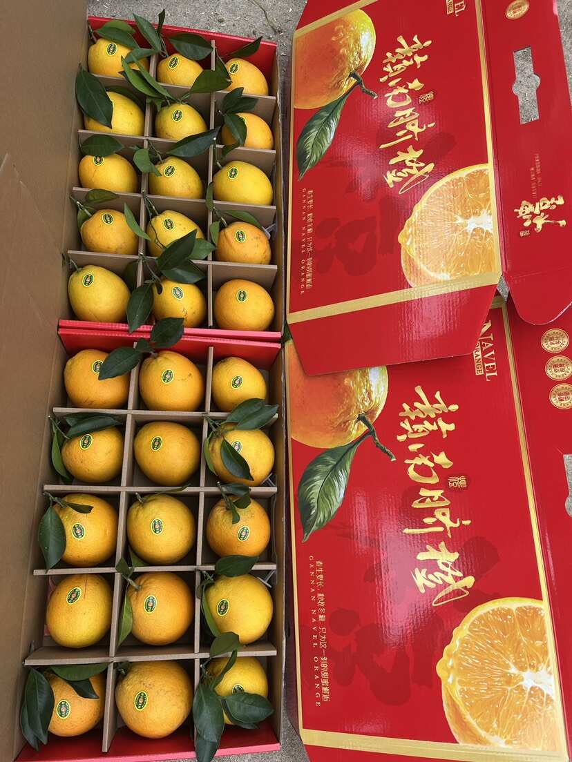 江西赣南脐橙