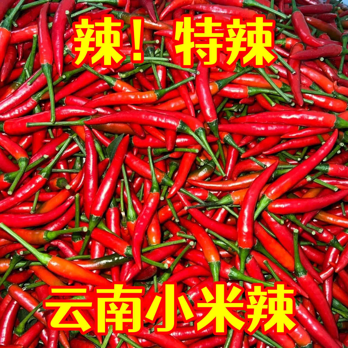 辣椒小米辣云南产地直供一件代发市场批发社区团购供货