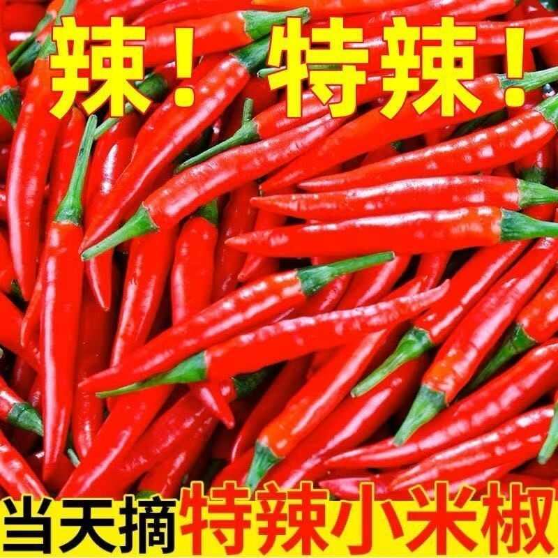 辣椒小米辣云南产地直供一件代发市场批发社区团购供货