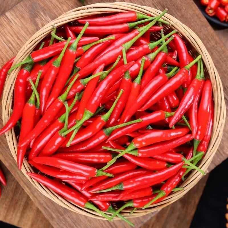 辣椒小米辣云南产地直供一件代发市场批发社区团购供货
