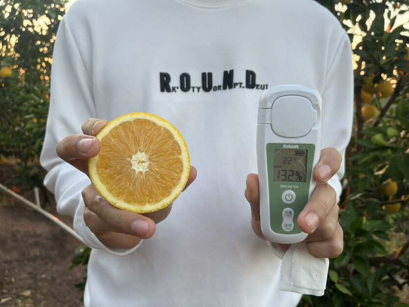 江西赣南脐橙，自家果园产量高，品质好，欢迎对接洽谈