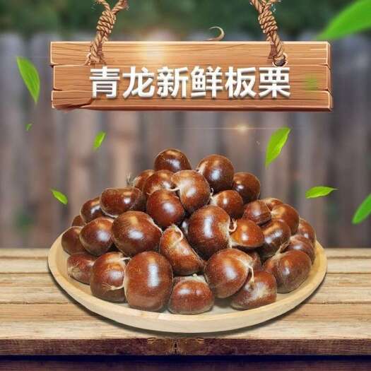 青龙县2025年河北青龙新鲜老树板栗