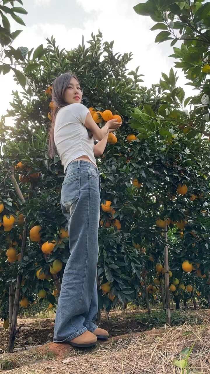江西赣南脐橙