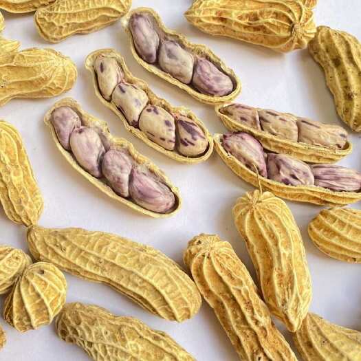 广州七彩花生 云南七彩花生 大量有货