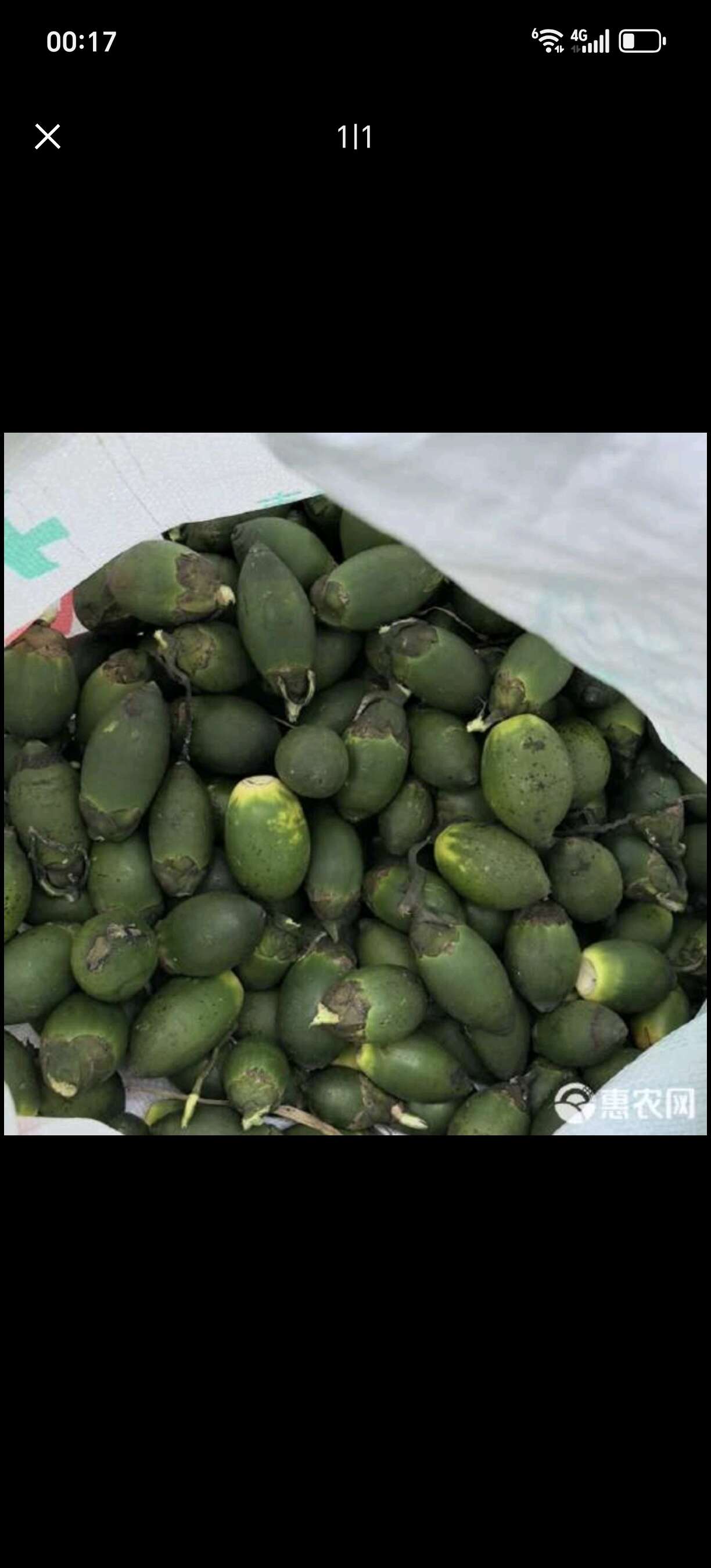 越南槟榔