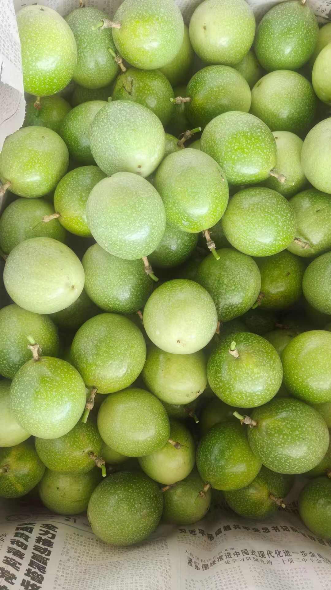 产地直发新鲜采摘钦蜜9号百香果