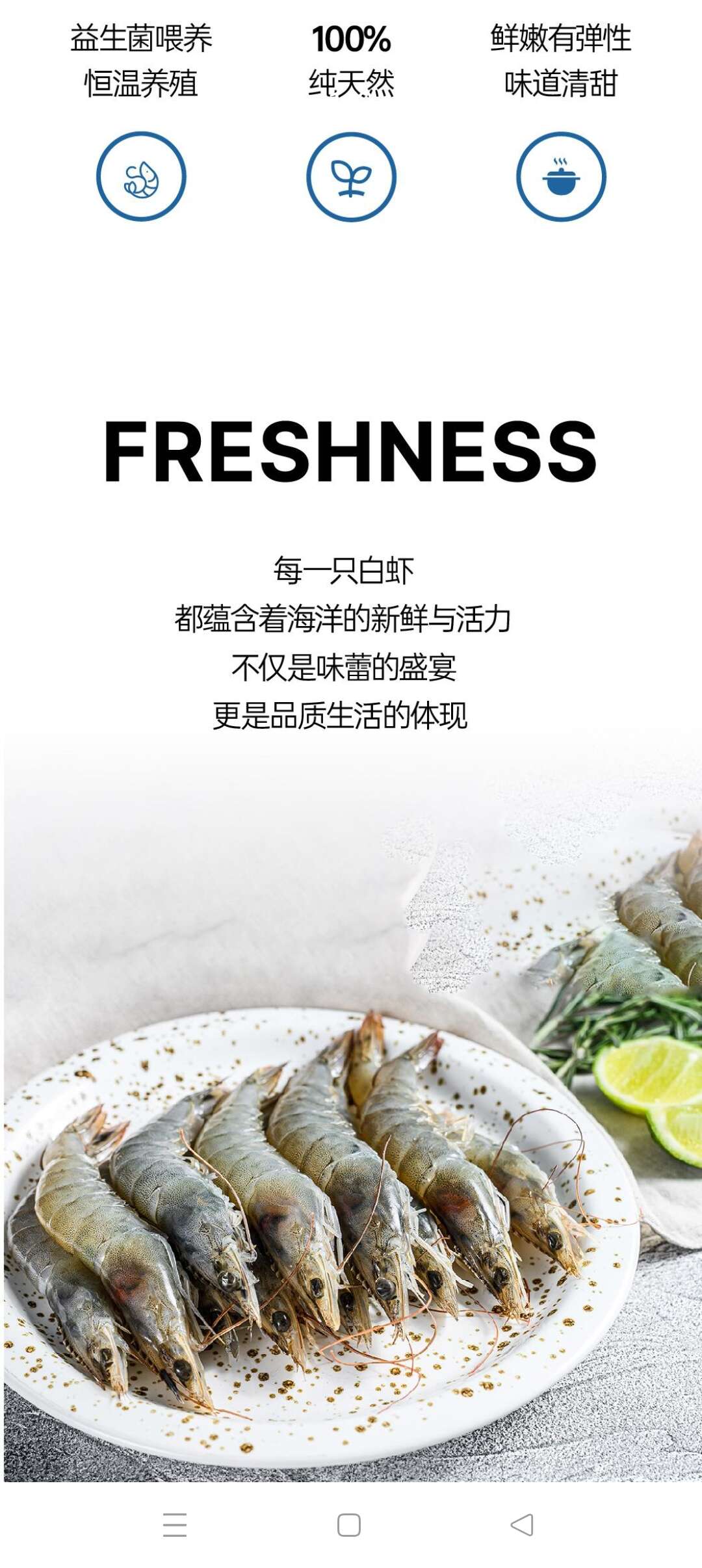 (厄瓜多尔白虾）严选(30_40）1.65kg/盒批发