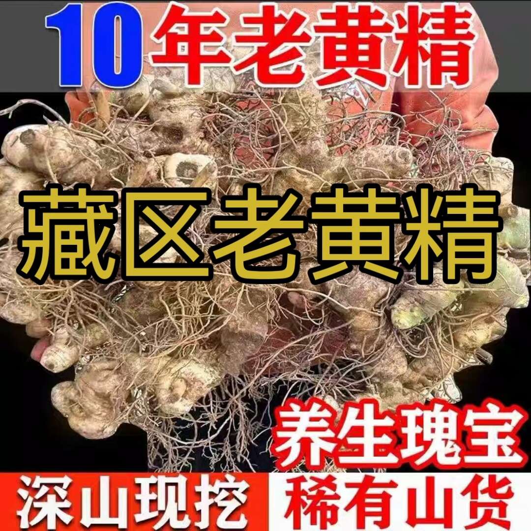四川正宗现挖鲜黄精深山老虎姜鸡头参煲汤泡酒炖鸡肉生精滋补食材