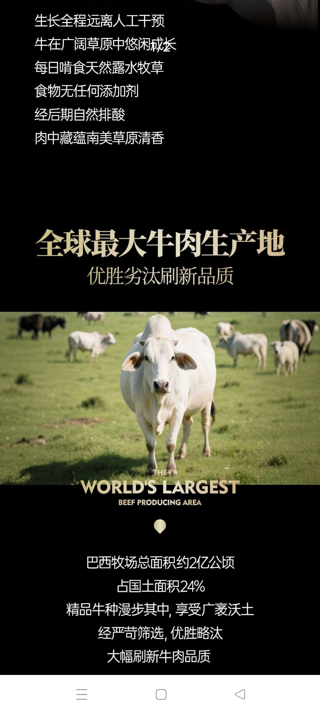 (巴西原切牛肉）西冷牛排200g/片