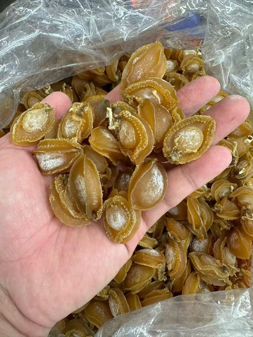 大连鲍鱼A货150头左右