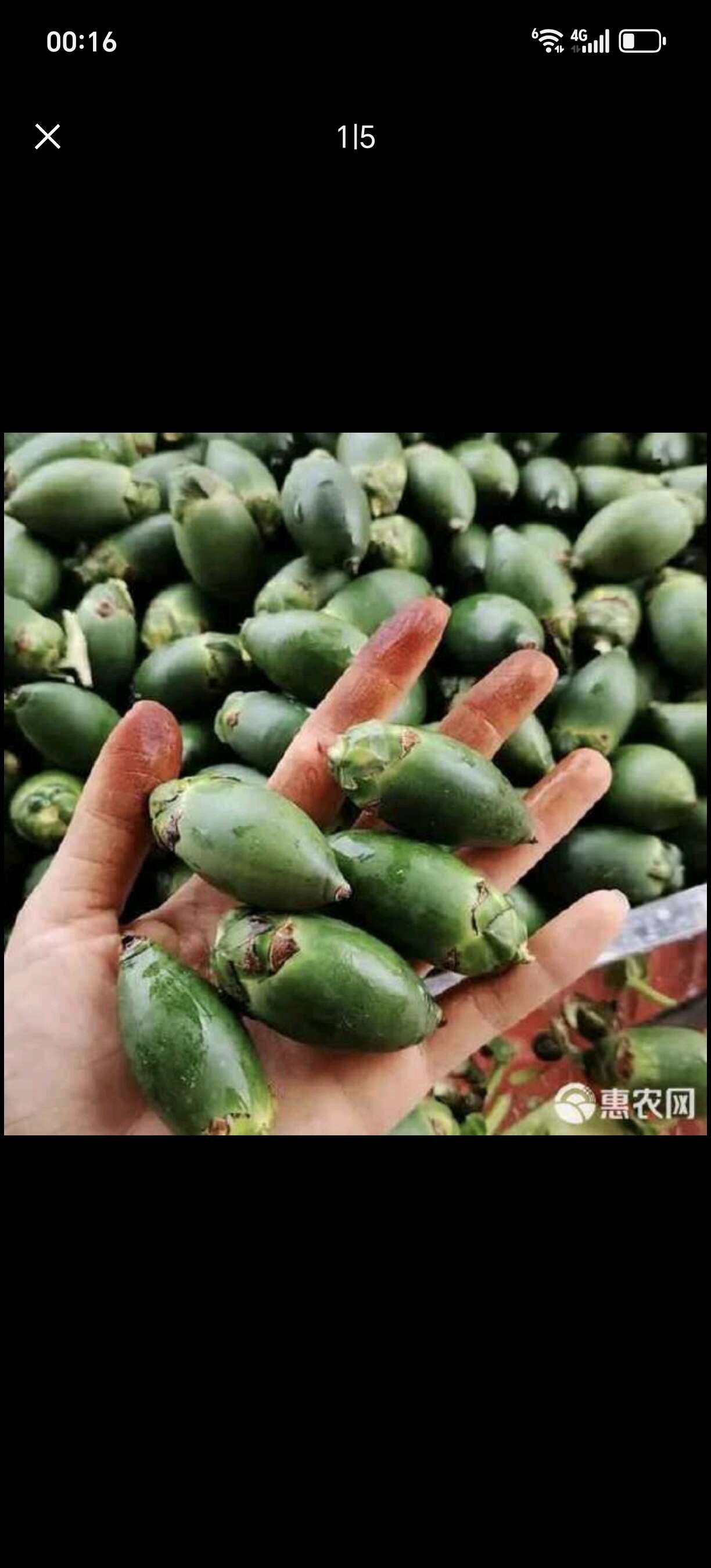 越南槟榔