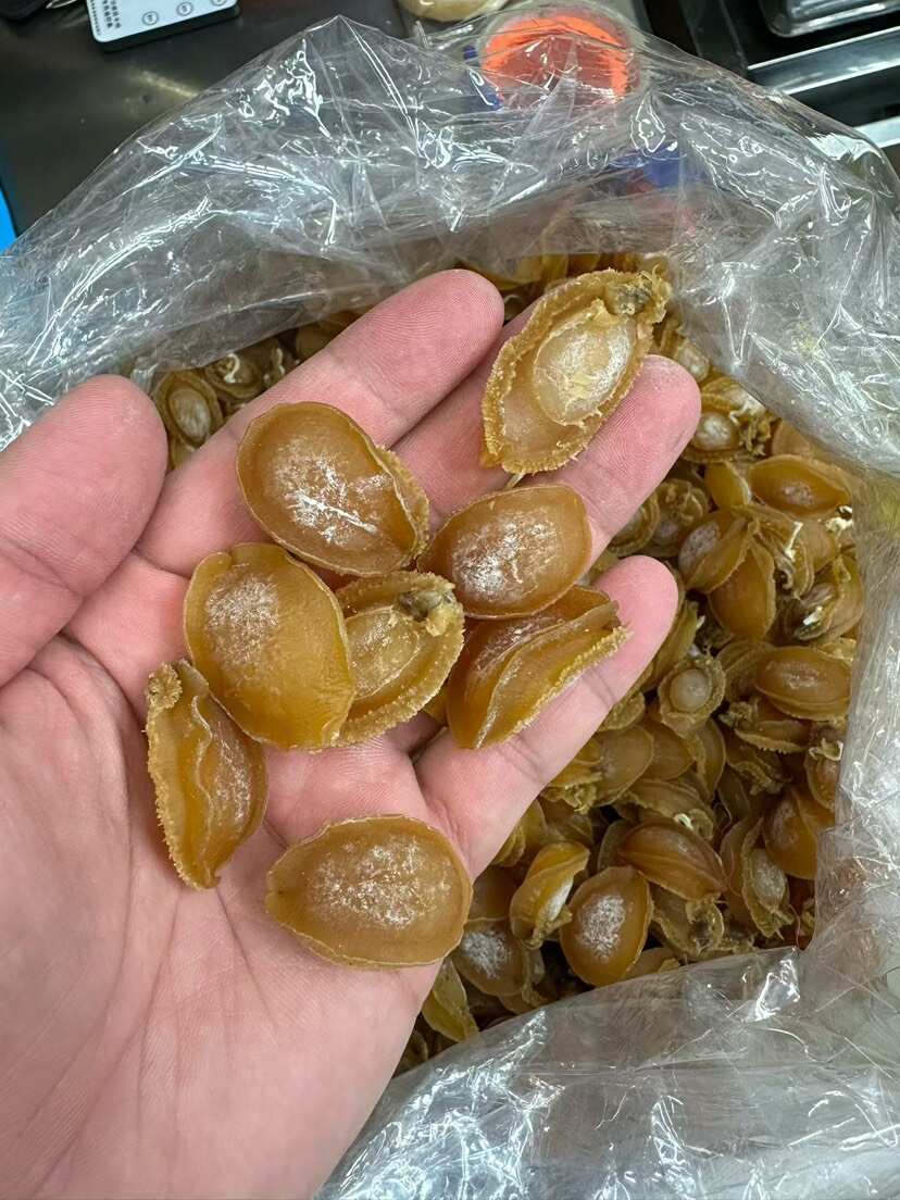 大连鲍鱼A货150头左右