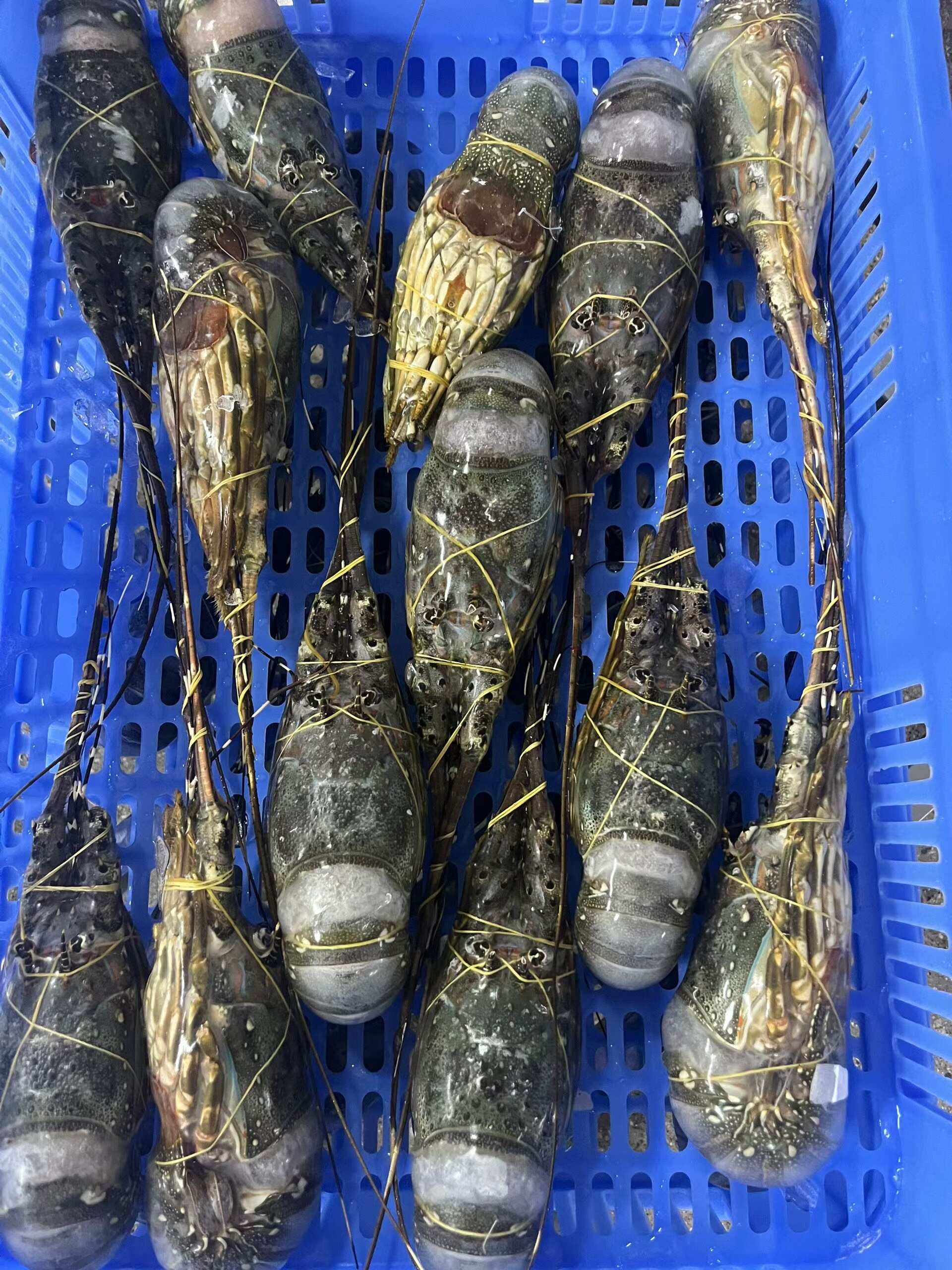 越南源头厂家直达，一手货源！质量保证价钱优惠