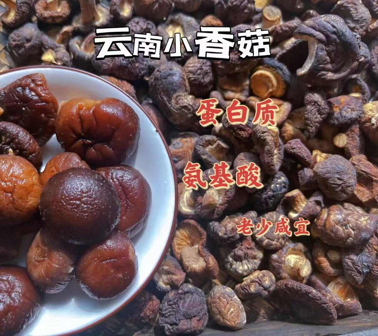 云南小香菇