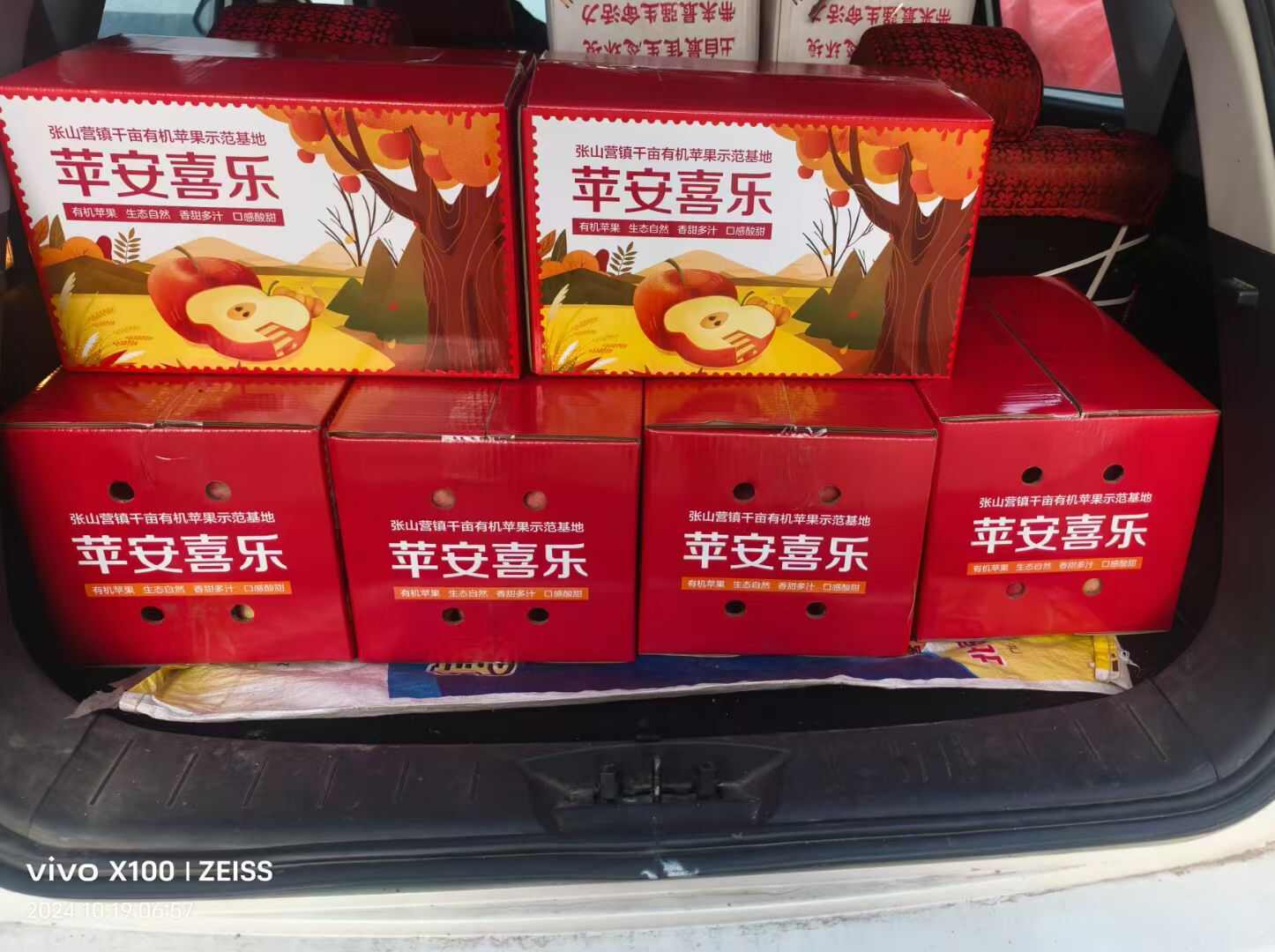 北京市延庆区张山营村苹果，皮薄汁甜！