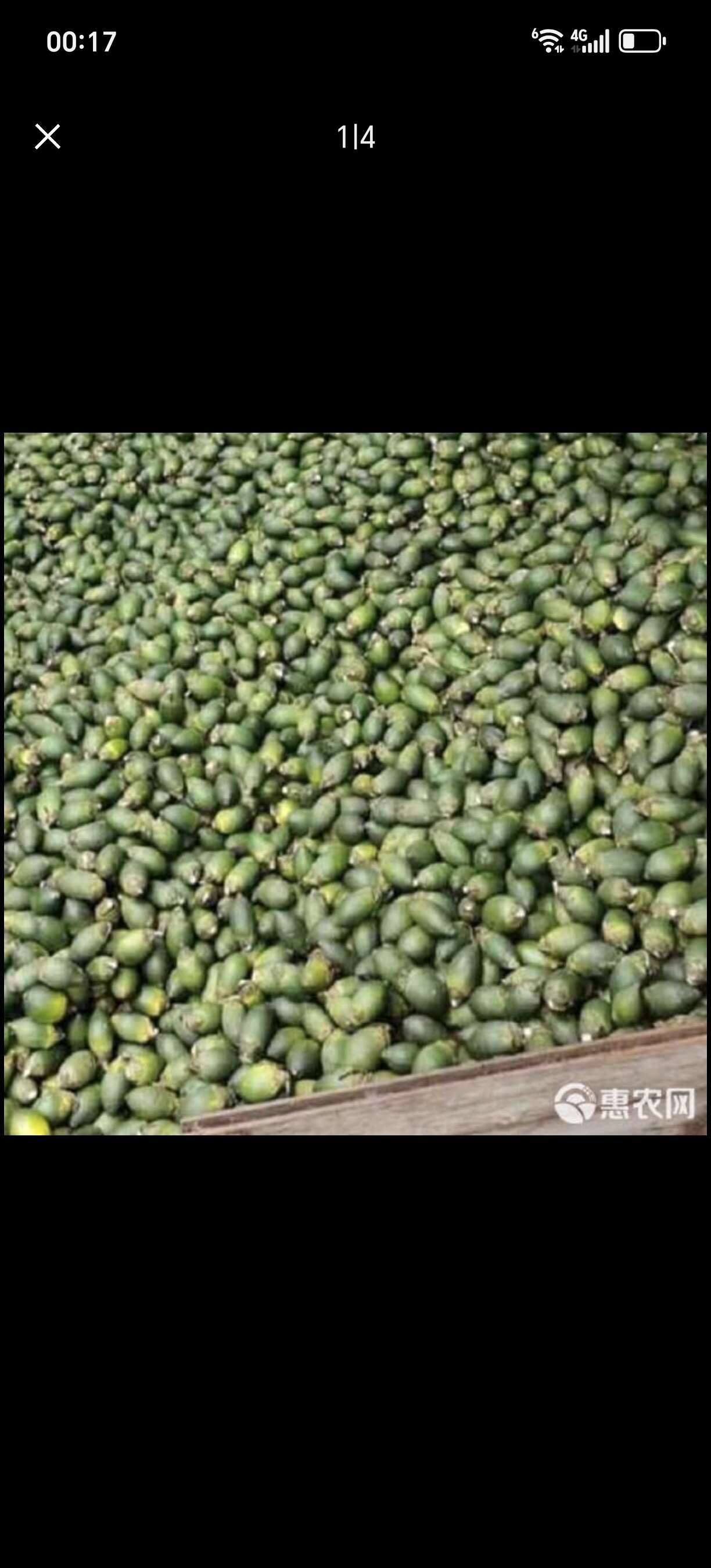 越南槟榔