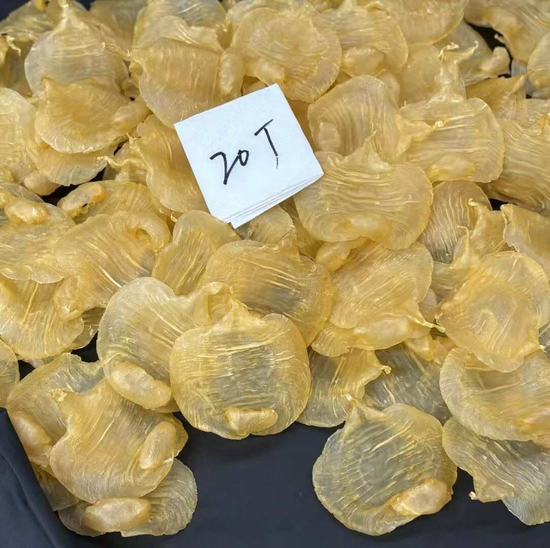 20头湛江母 赤嘴鱼㬵 天然厚肉，肉质超美～