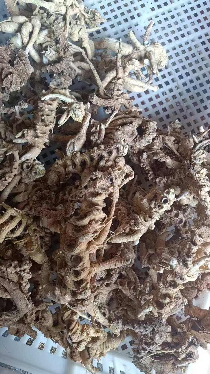 正品10年左右竹节参，天王参。快递包邮