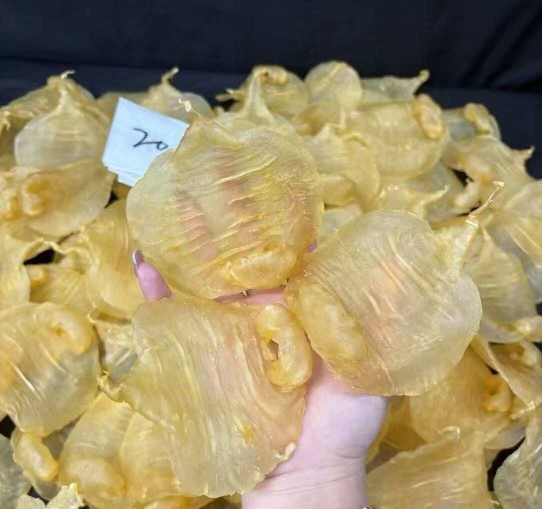 20头湛江母 赤嘴鱼㬵 天然厚肉，肉质超美～