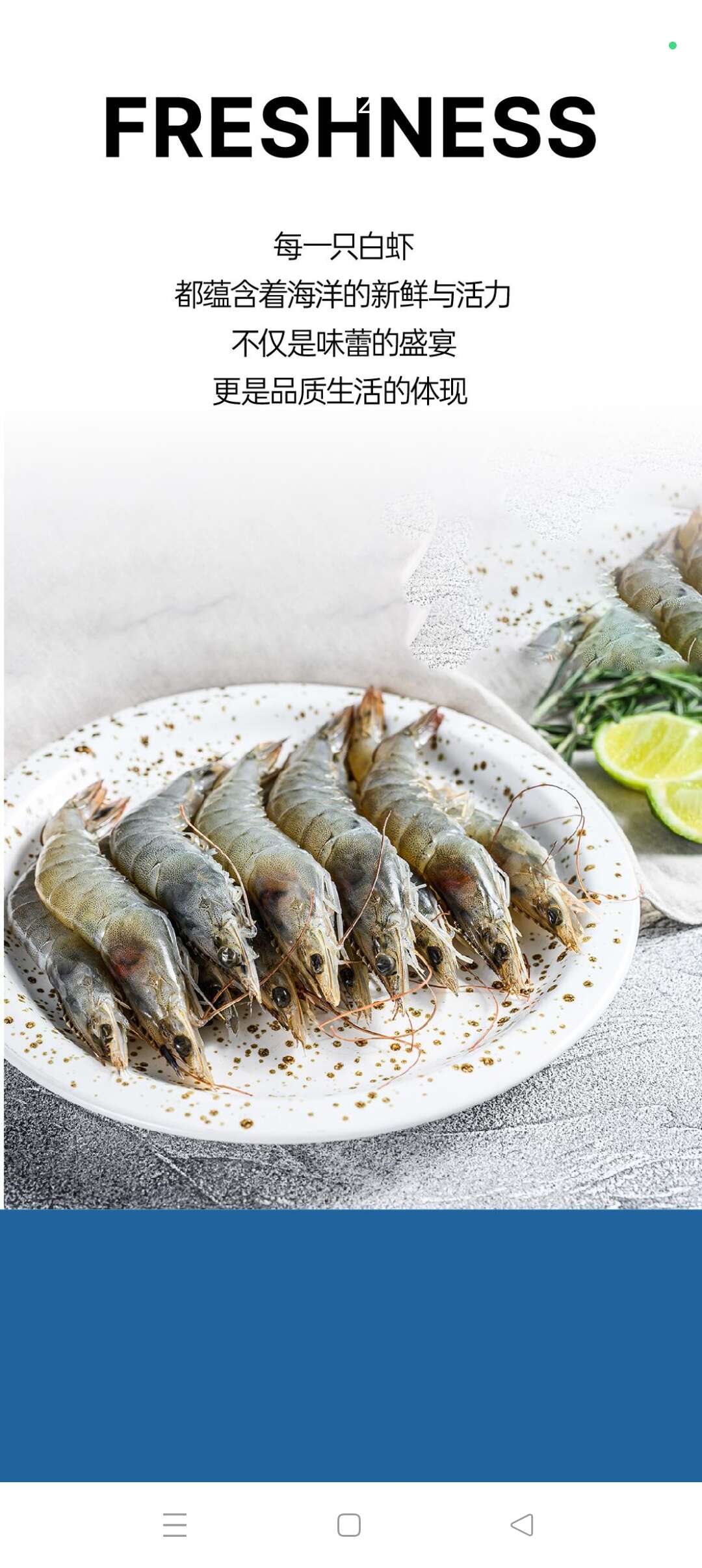 (厄瓜多尔南美）白对虾1.65kg/盒批发