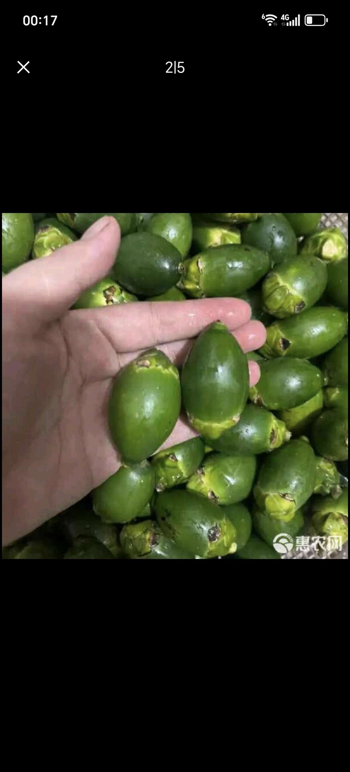 越南槟榔