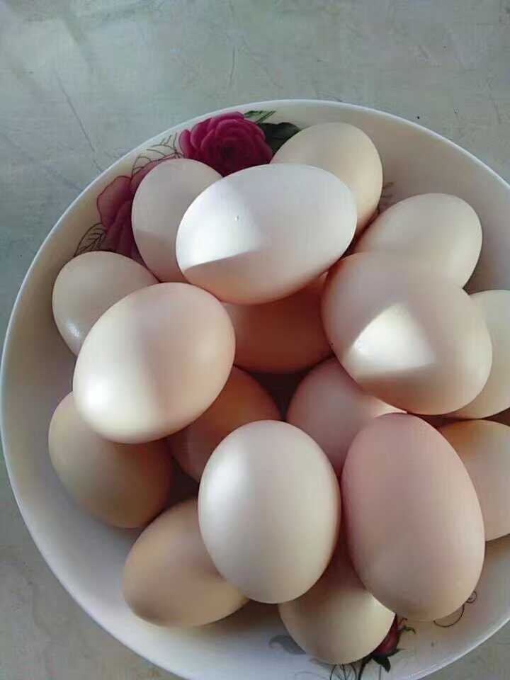 乡村土鸡蛋