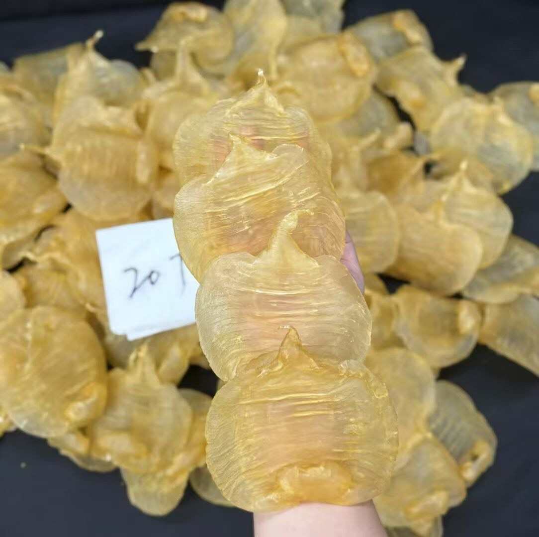 20头湛江母 赤嘴鱼㬵 天然厚肉，肉质超美～